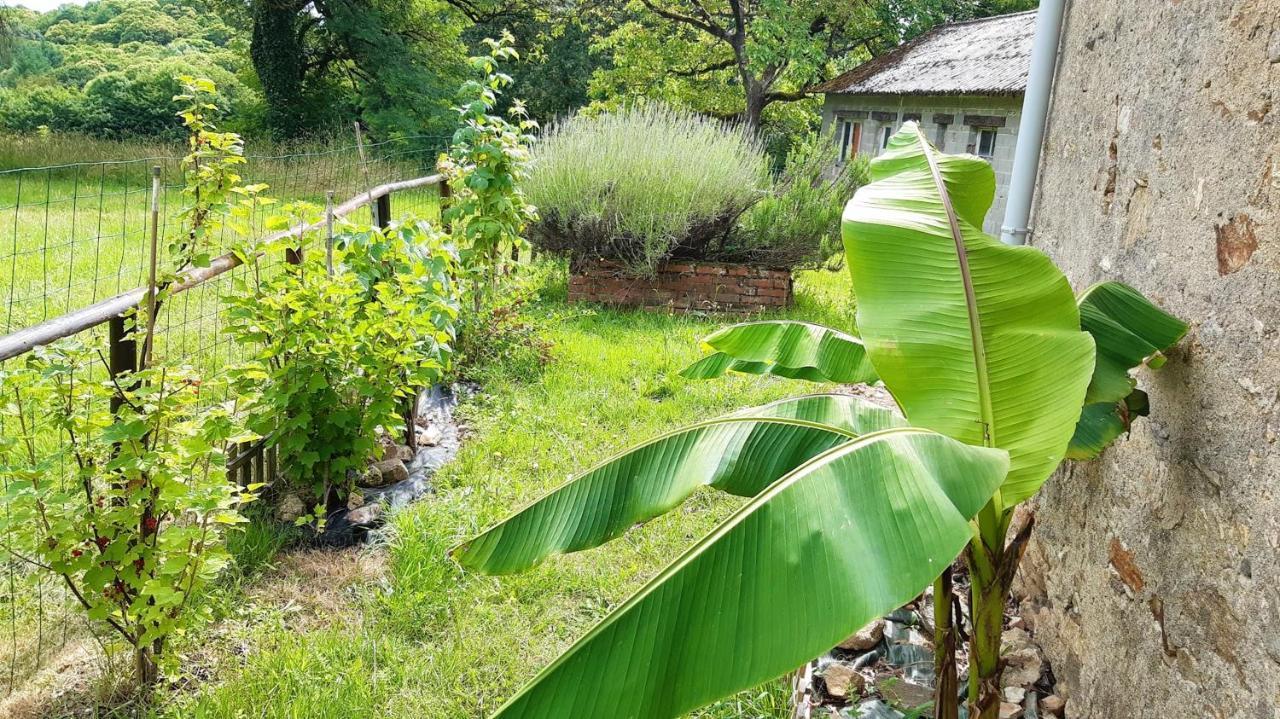 Appartement Charmant Orgnac-Sur-Vezere Avec Jardin Et Parking Orgnac-sur-Vezere Exterior foto