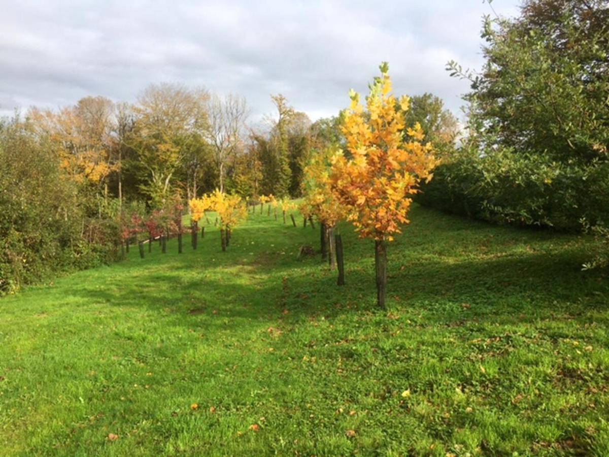 Appartement Charmant Orgnac-Sur-Vezere Avec Jardin Et Parking Orgnac-sur-Vezere Exterior foto